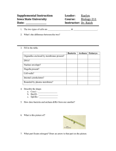 Worksheet 1-3 - Iowa State University