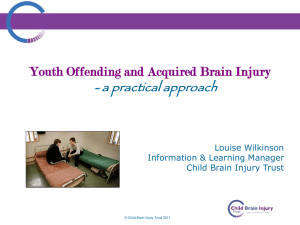 Youth offending and Acquired Brain Injury