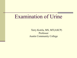 VI. Urinalysis - Austin Community College
