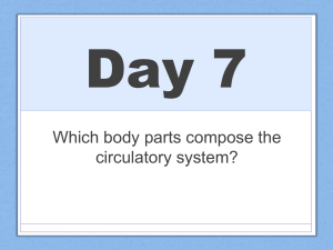 PPT: Circulatory system 1