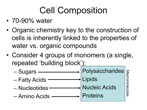 Lecture 2 - cell assembly