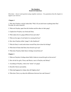 The Outsiders Homework Questions