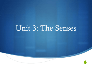 Unit 3: The Senses