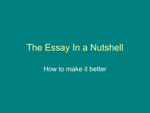 The Essay In a Nutshell