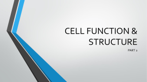 cell function structure part 2