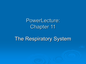 PowerLecture: Chapter 11
