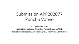 Submission APP202077 Poncho Votivo