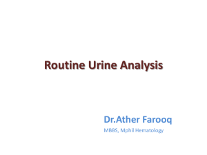 Routine Urine Analysis