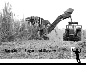 Barbados: Sugar and Slavery presentation
