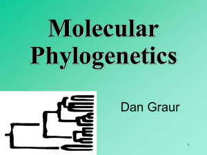 Introduction to Phylogenetics
