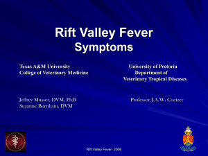 Rift Valley Fever Symptoms - Texas A&M University College of