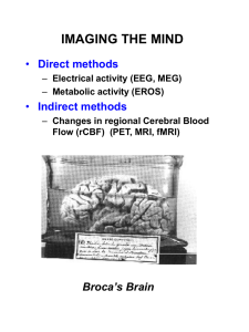 Metabolic activity - University of Florida Department of Psychology