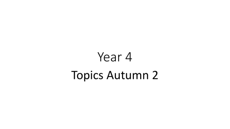 Year 4 Topics Maths