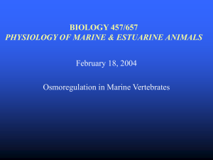 biology 457/657 physiology of marine & estuarine animals