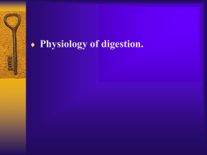 9. Physiology of digestion