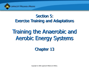chapter13 training energy systems