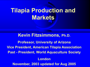 Tilapia - University of Arizona