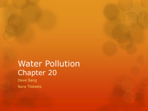 20-4 What are the Major Water Pollution Problems Affecting Oceans?