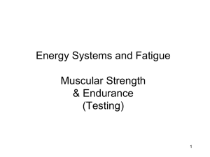 Muscular Strength Testing