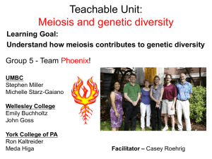 Meiosis and Generation of Genetic Diversity (PowerPoint)
