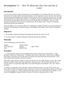 How Do Molecules Pass Into and Out of Cells? Introduction