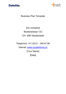 Template Business Plan EN - i-net