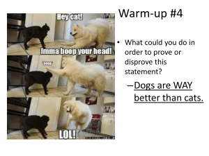 Warm-up #4 - Haiku Learning
