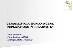 GENOME EVOLUTION AND GENE DUPLICATIONS IN