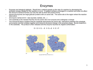 Enzymes