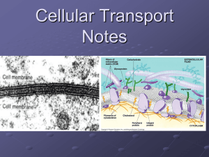 cell membrane - Cloudfront.net