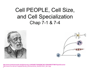 Diversity of Cellular Life 7-4