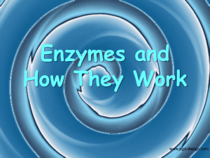 Enzymes and How They Work