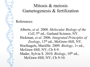 Mitosis & meiosis Gametogenesis & fertilization