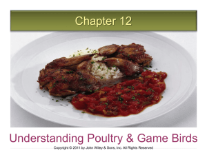 Understanding Poultry and Game Birds