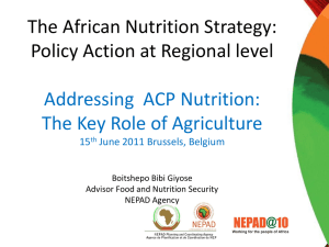 The African Nutrition Strategy: Policy Action at