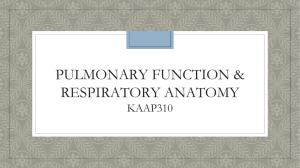 Lab5_Respiratory