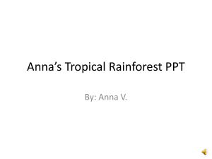 Anna's Tropical Rainforest PPT
