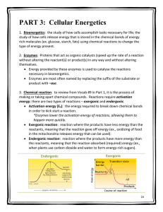 File - Study Guides