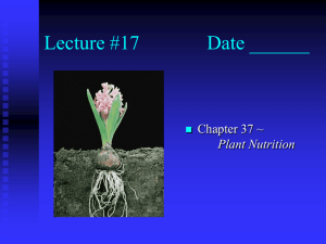 Chapter 37 - Plant Nutrition