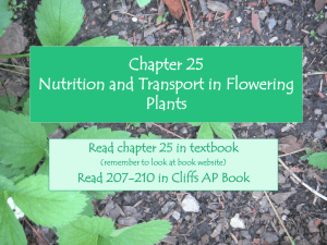 Chapter 37 Nutrition and Transport in Plants