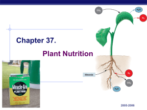 ch_37 plant nutrition - Valhalla High School