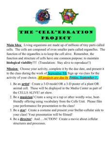 Cellebration Project (custer)