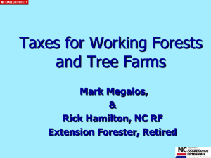 Taxes for Working Forests and Tree Farms