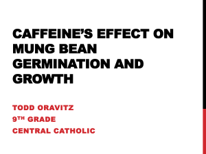 Todd Oravitz CCHS Caffeine's Effects on Mung Bean Germination