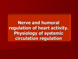 Nerve and humoral regulation of heart activity
