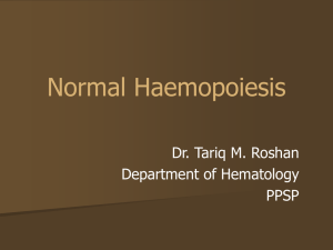 Normal Haemopoiesis