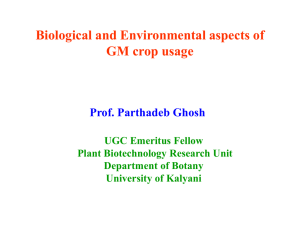 Risk Assessment of genetically modified food
