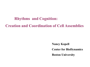 Creation and Coordination of Cell Assemblies