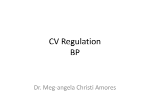 CV Regulation BP