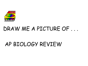 draw me a picture review - local.brookings.k12.sd.us